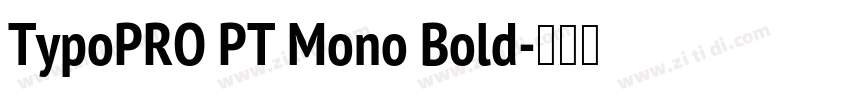 TypoPRO PT Mono Bold字体转换